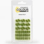 CITADEL COLOUR TUFTS: VERDIA VELDT